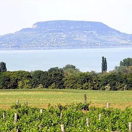 Couette-café Viktor Bor- és Vendégház**** Balatonmáriafürdő