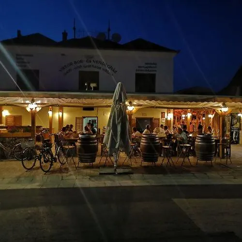 לינה וארוחת בוקר Viktor Bor- Es Vendeghaz****